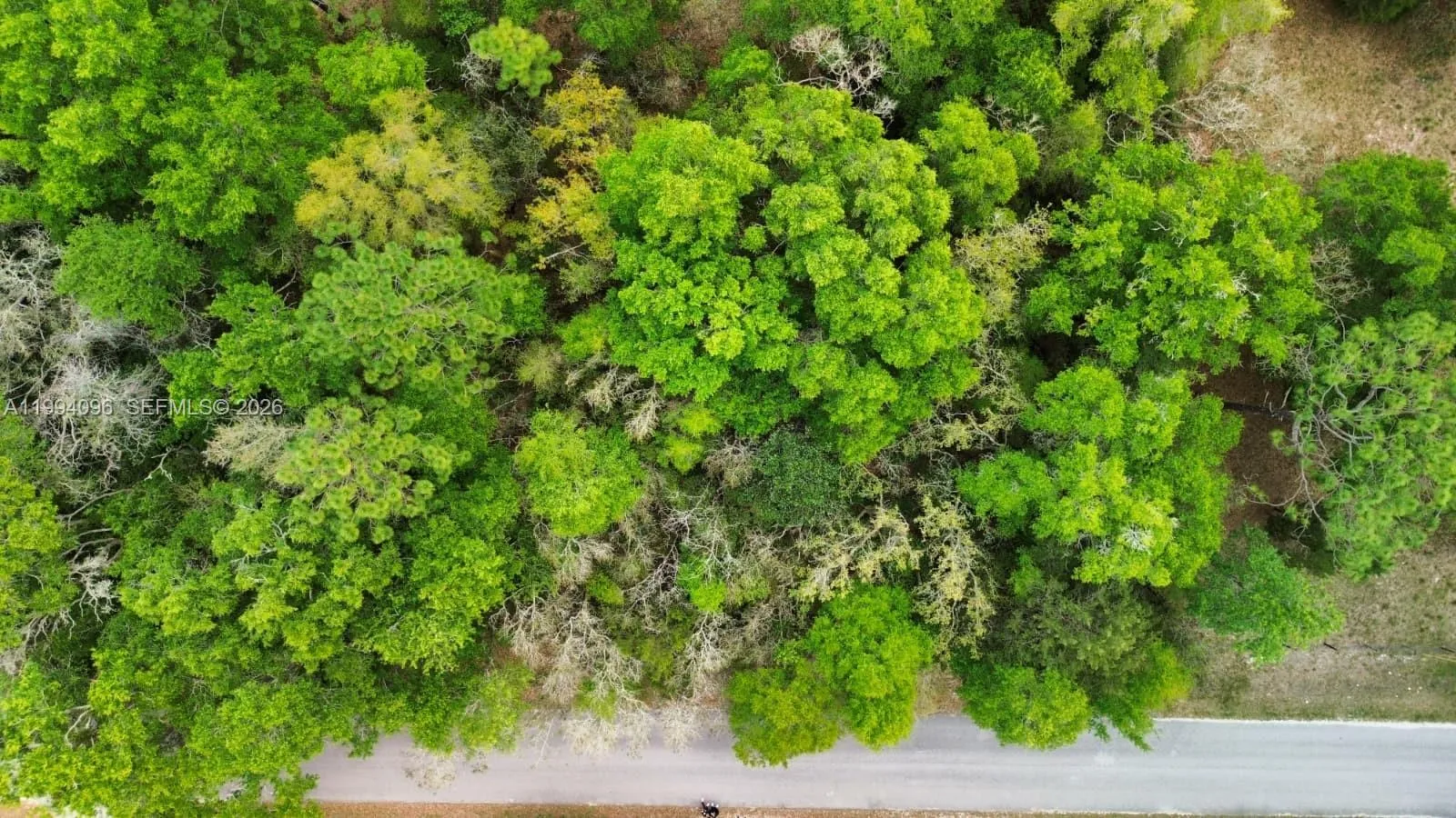 Lot 29 Nw 120th Ave, Ocala FL 34482