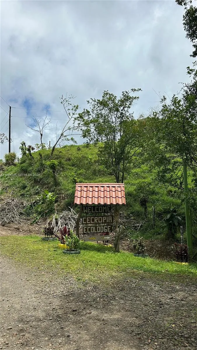 Distrito 14 San Lorenzo, FL A-0190479