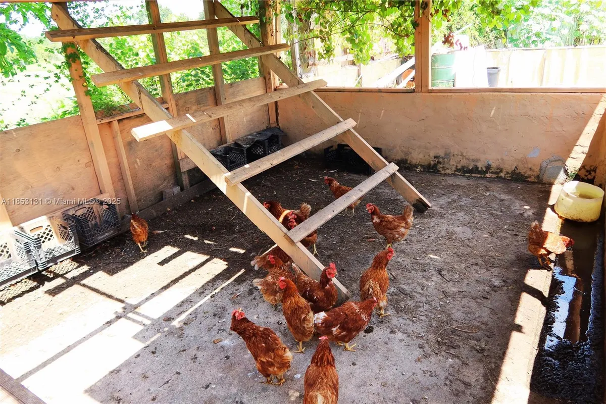 1321 BLUFF HAMMOCK RD, Lorida FL 33857