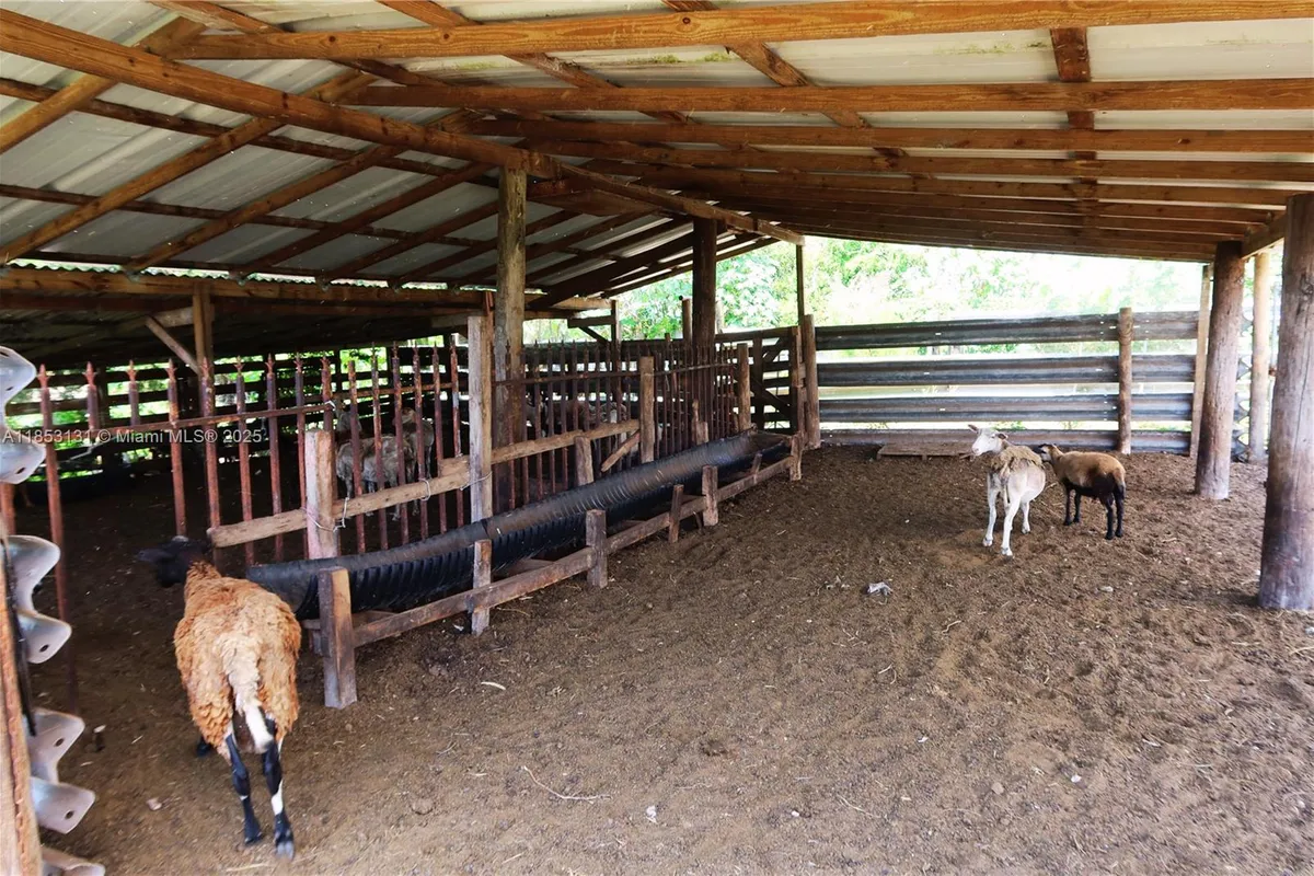 1321 BLUFF HAMMOCK RD, Lorida FL 33857