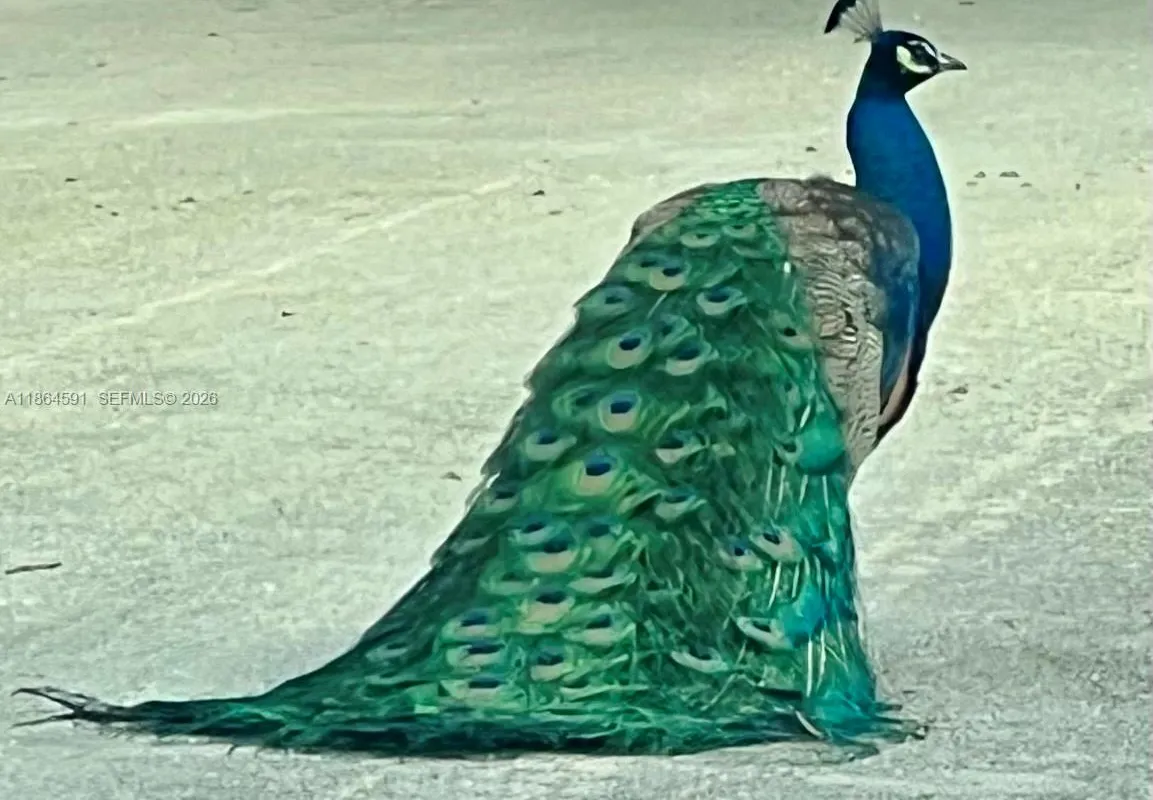 17625 SW 91st Ave., Palmetto Bay FL 33157