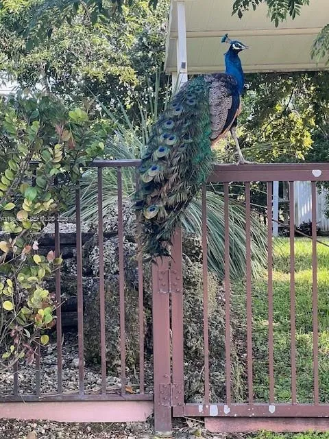 17625 SW 91st Ave., Palmetto Bay FL 33157