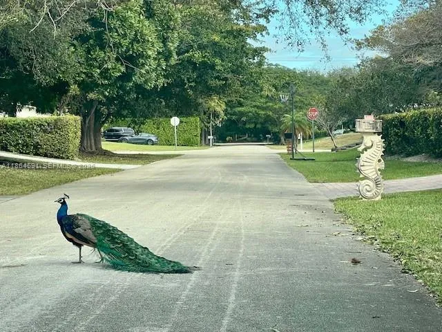 17625 SW 91st Ave., Palmetto Bay FL 33157