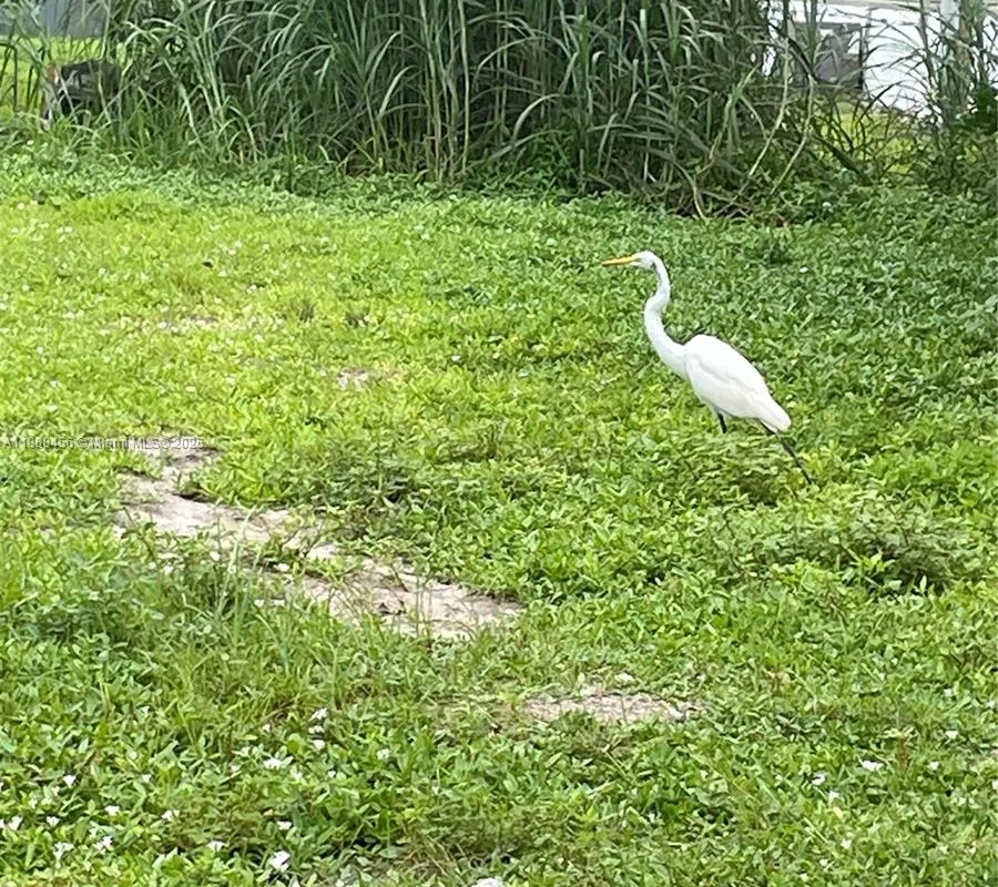 428 Avenue D, Moore Haven FL 33471