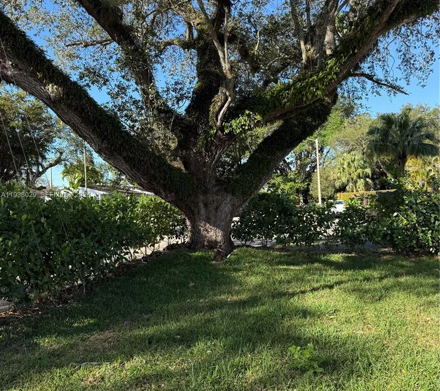 6091 SW 64th Ter, South Miami FL 33143