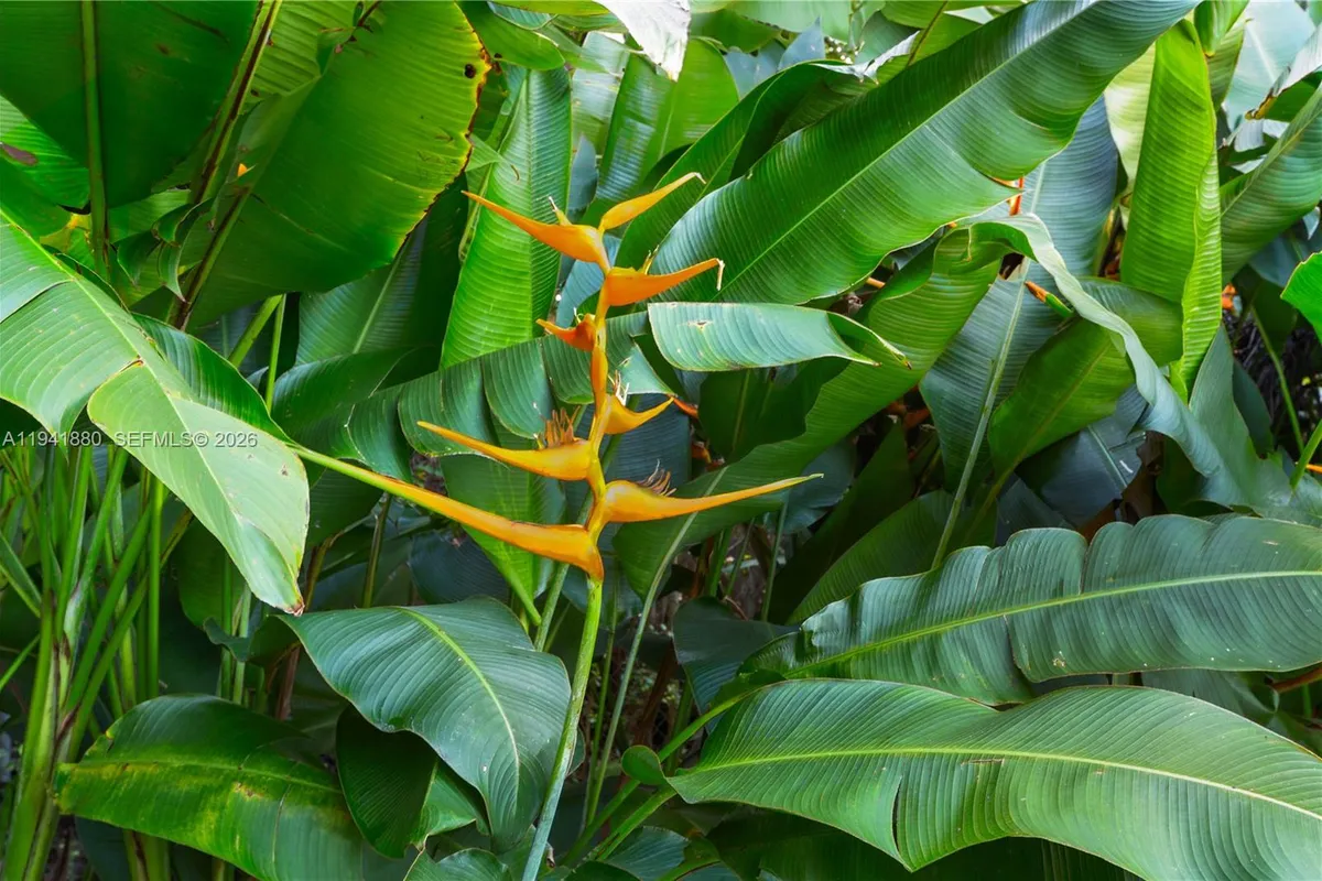 1901 Country Club Prado, Coral Gables FL 33134