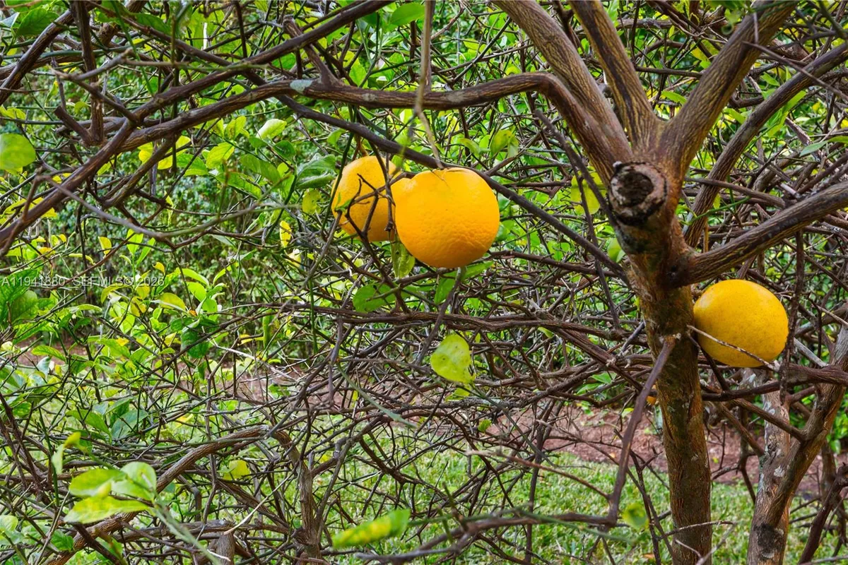 1901 Country Club Prado, Coral Gables FL 33134