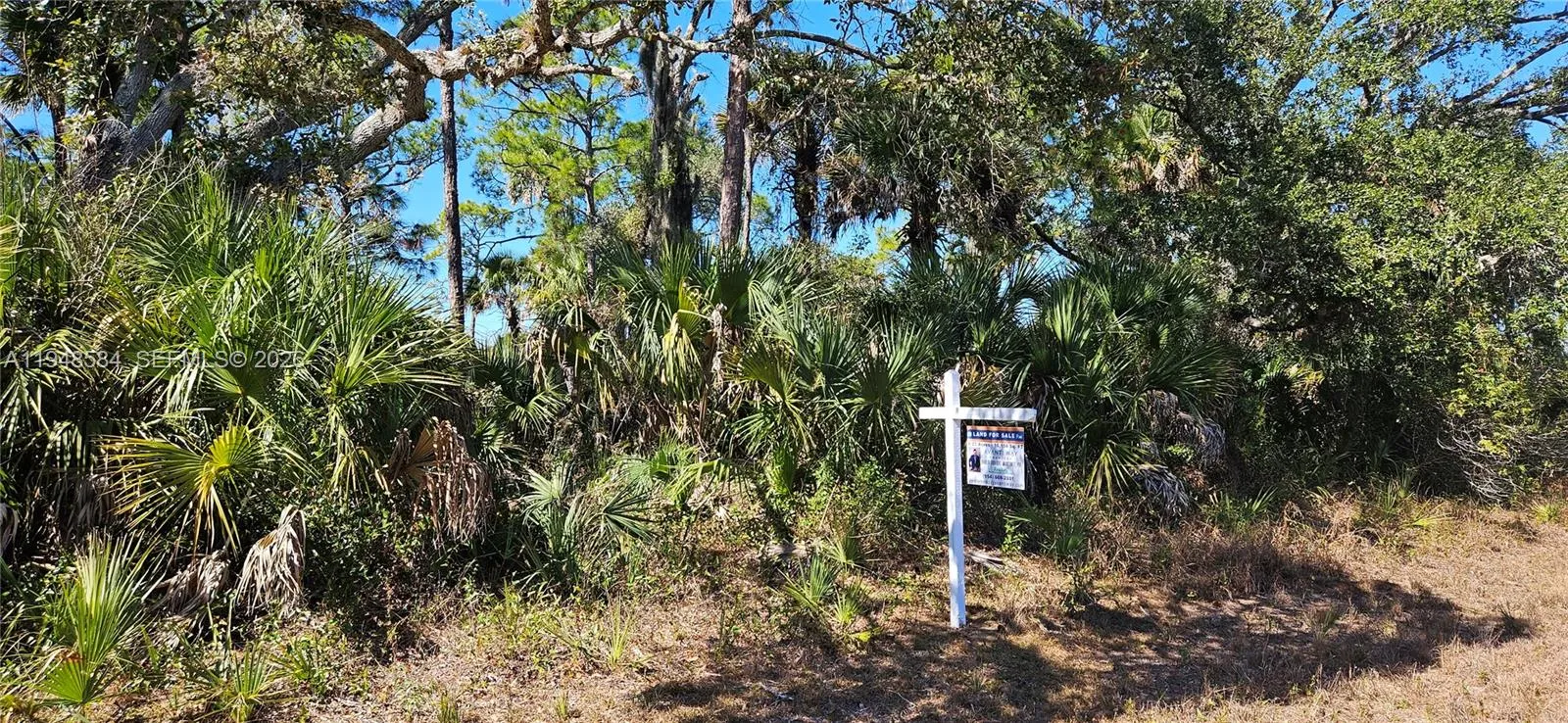 414 Valleybrook Drive, La Belle FL 33935