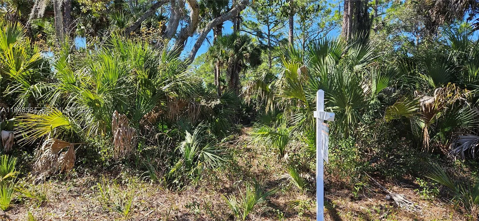 414 Valleybrook Drive, La Belle FL 33935