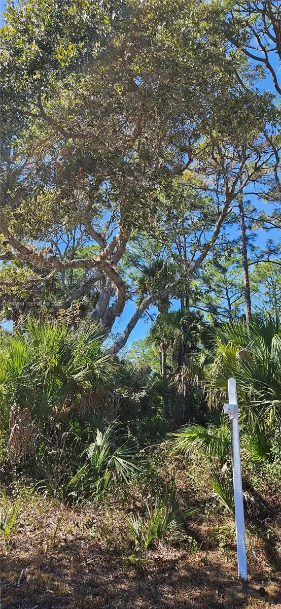 414 Valleybrook Drive, La Belle FL 33935