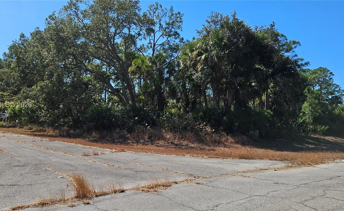 414 Valleybrook Drive, La Belle FL 33935