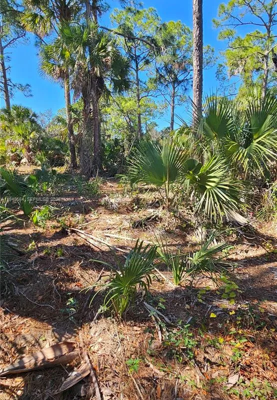 414 Valleybrook Drive, La Belle FL 33935