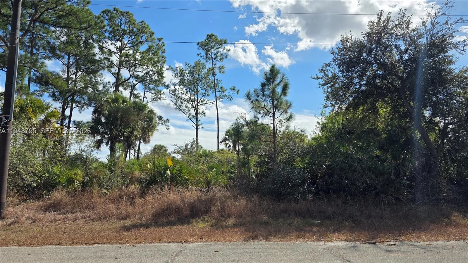 315 Ivanhoe Ave, La Belle FL 33935