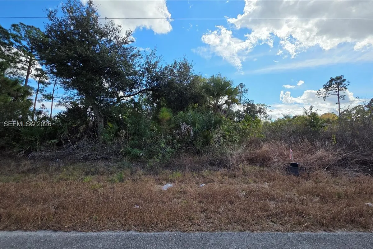 315 Ivanhoe Ave, La Belle FL 33935