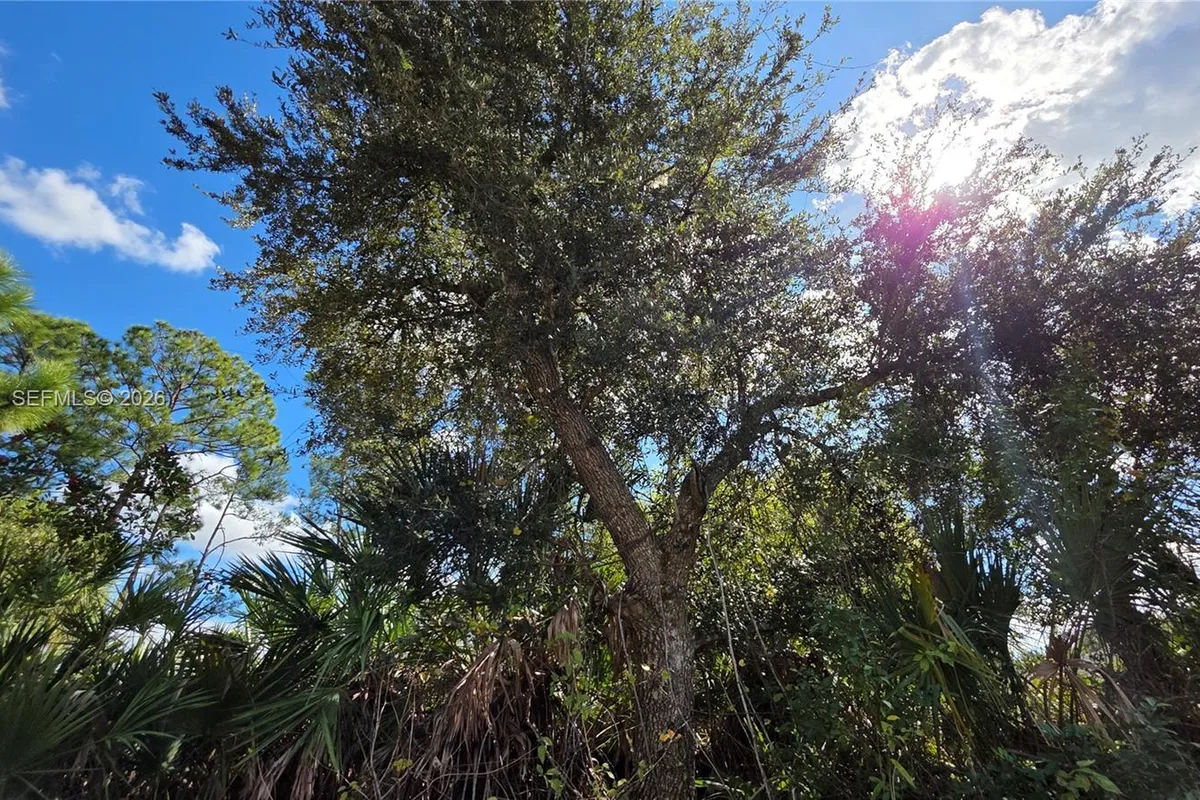 315 Ivanhoe Ave, La Belle FL 33935