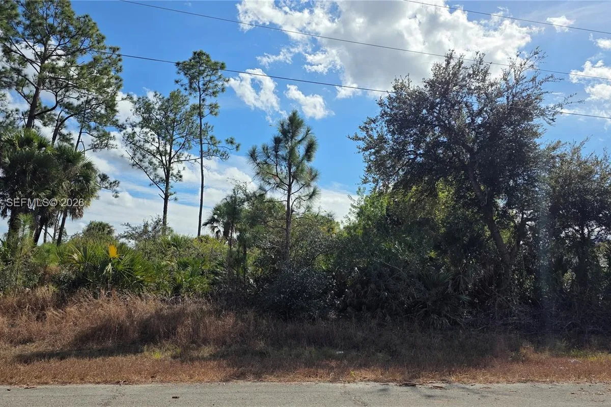 315 Ivanhoe Ave, La Belle FL 33935