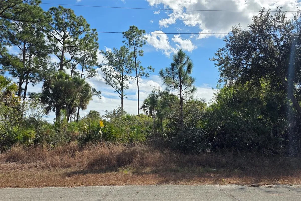 315 Ivanhoe Ave, La Belle FL 33935