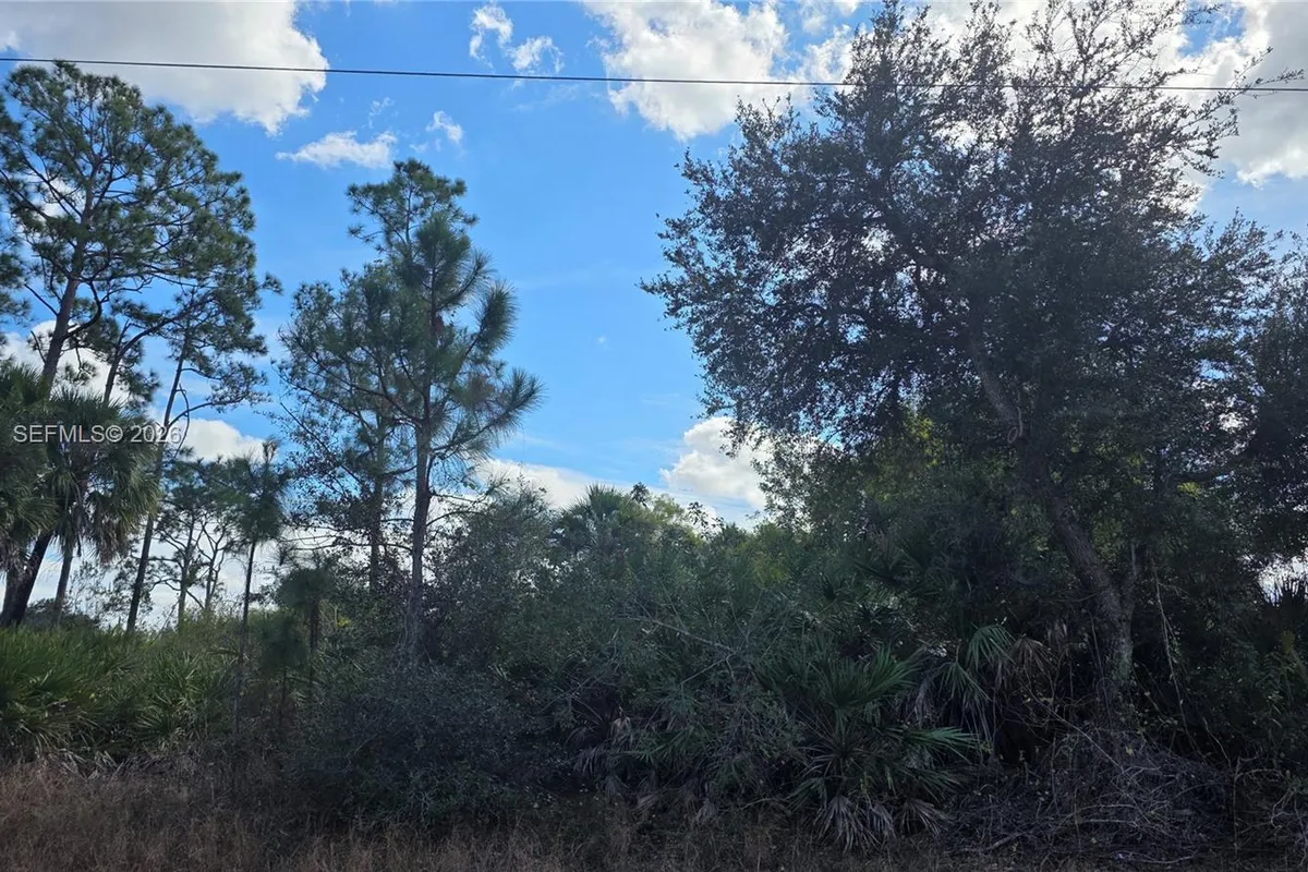 315 Ivanhoe Ave, La Belle FL 33935