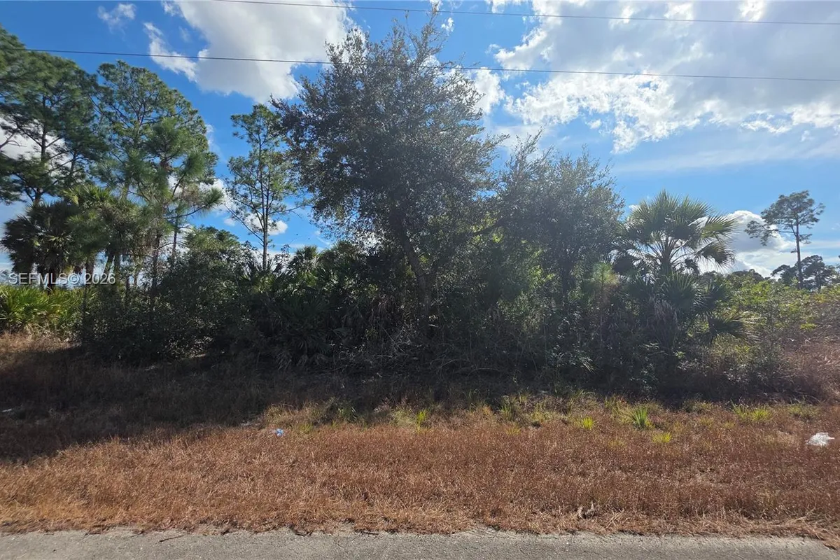 315 Ivanhoe Ave, La Belle FL 33935