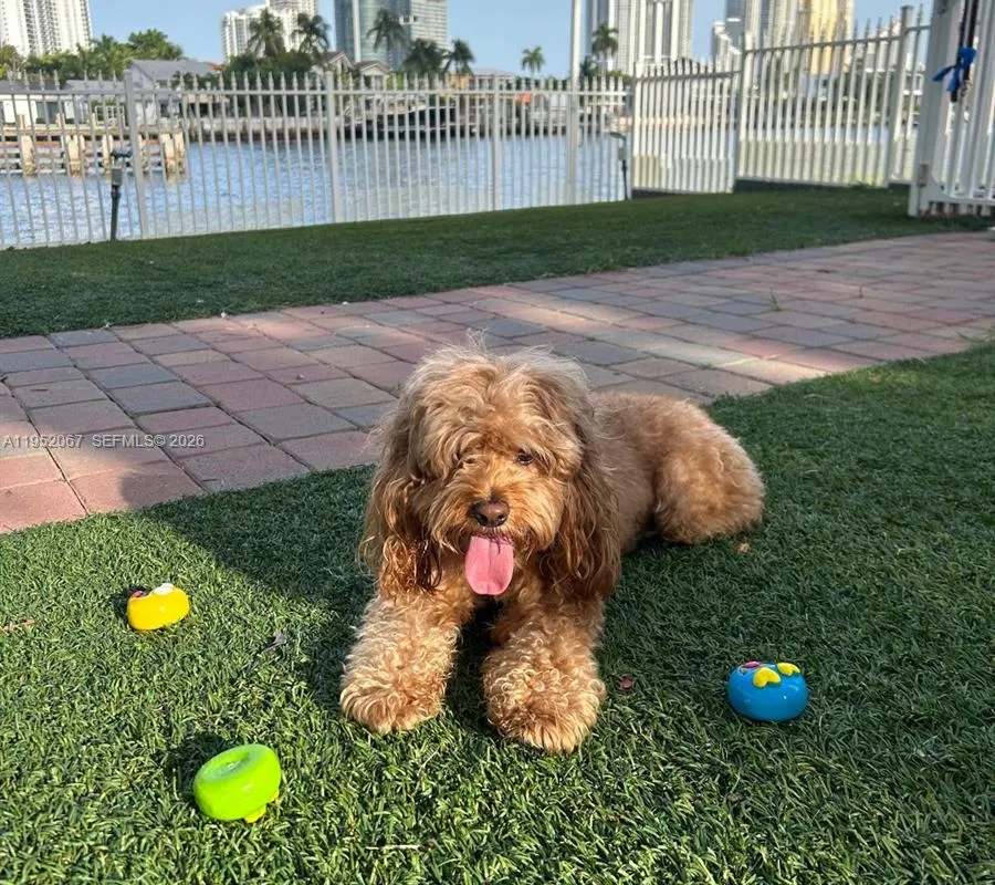 3500 Mystic Pointe Dr # 2908, Aventura FL 33180