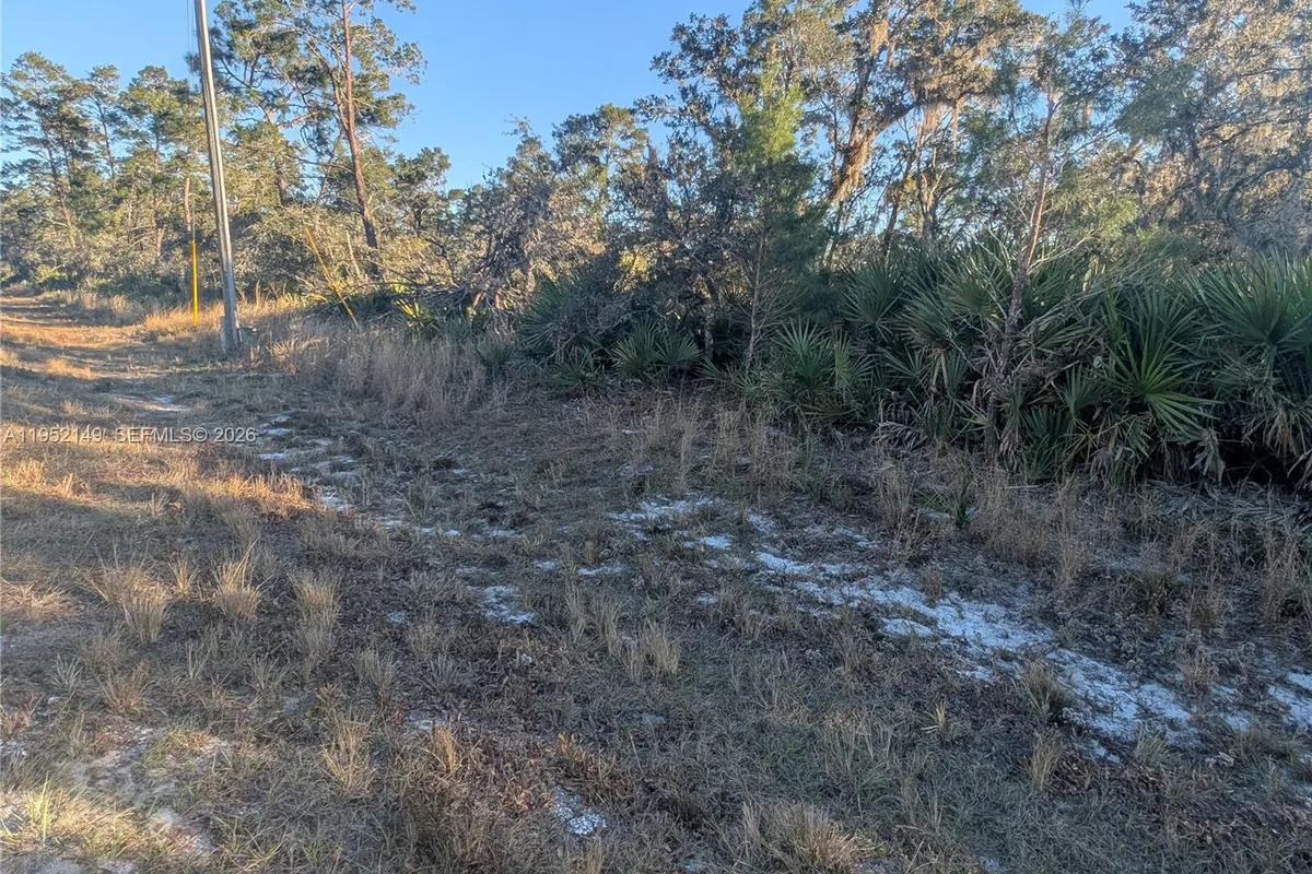 6145 Alcala Avenue, Sebring FL 33872