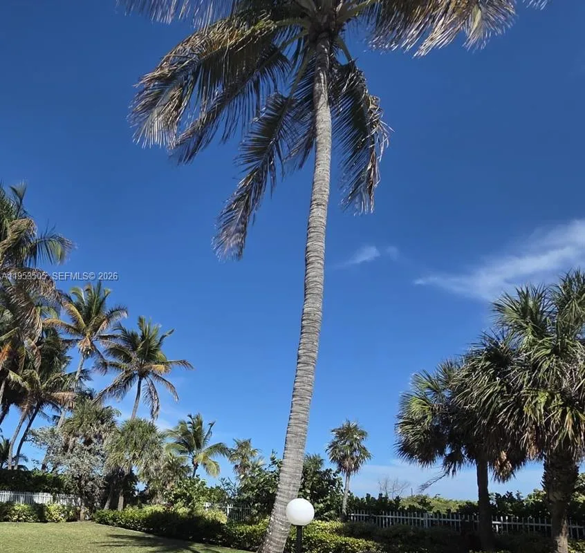 2401 Collins Ave # 609, Miami Beach FL 33140