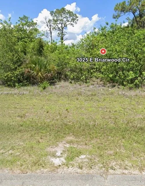 3025 E BRIARWOOD CIR, La Belle FL 33935