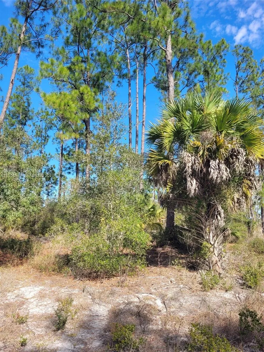 7620 19th PL Wheeler, La Belle FL 33935