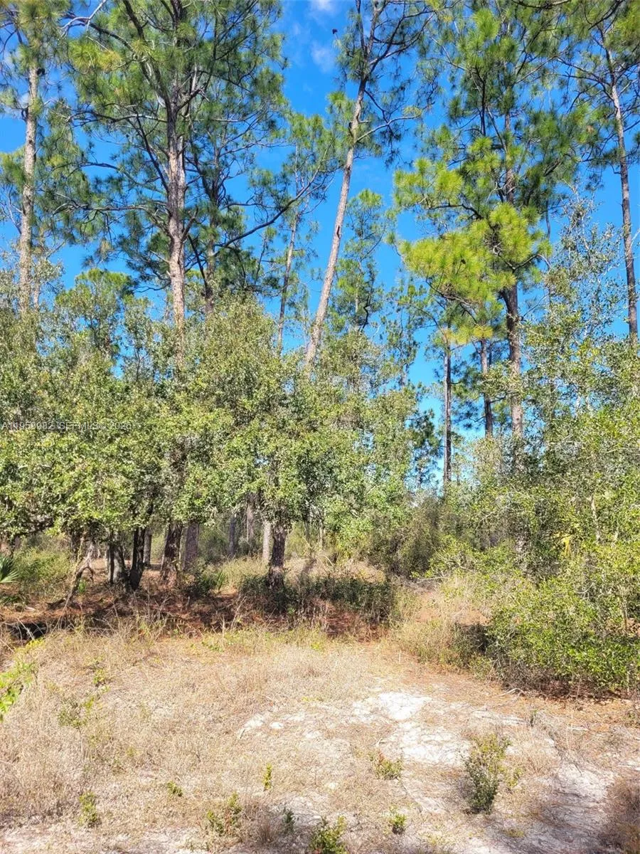 7620 19th PL Wheeler, La Belle FL 33935