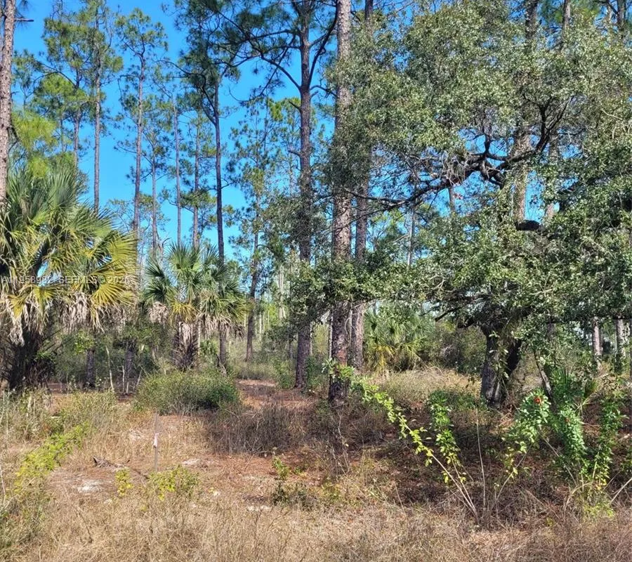 7620 19th PL Wheeler, La Belle FL 33935