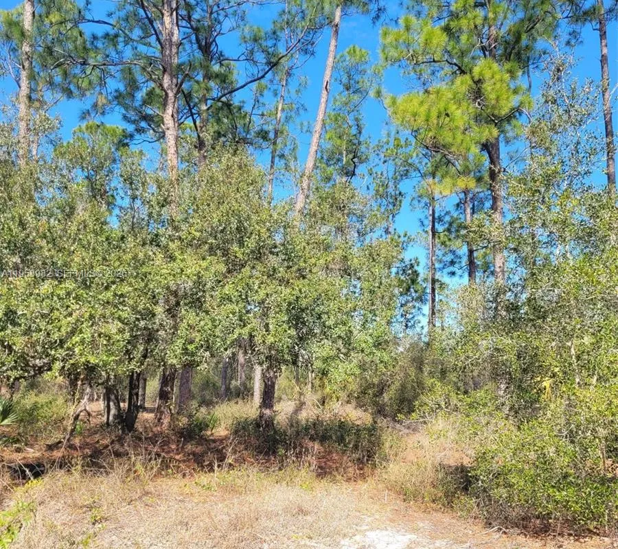 7620 19th PL Wheeler, La Belle FL 33935