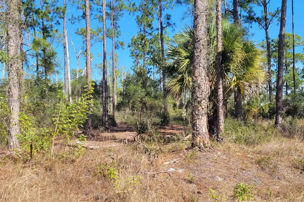 7620 19th PL Wheeler, La Belle FL 33935