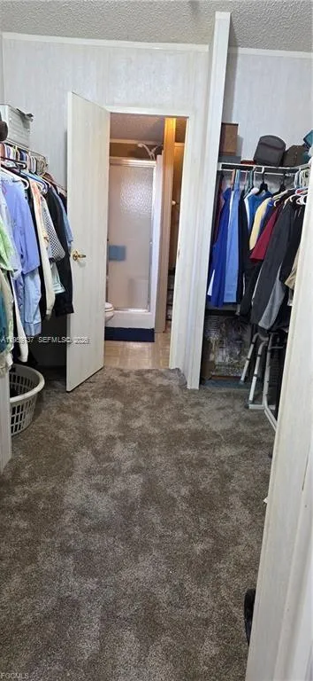 1627 Sunset Tr, La Belle FL 33935