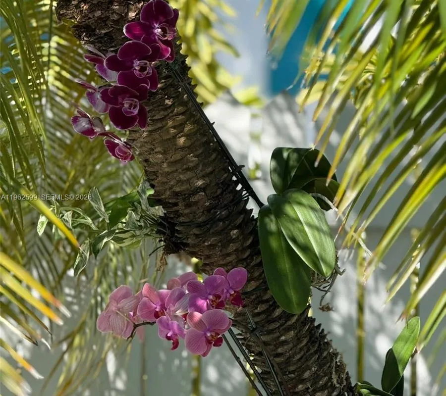 1503 Johnson St, Key West FL 33040