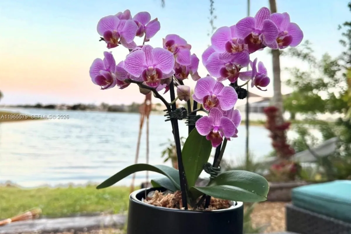 5265 SW 171st Ave, Miramar FL 33027