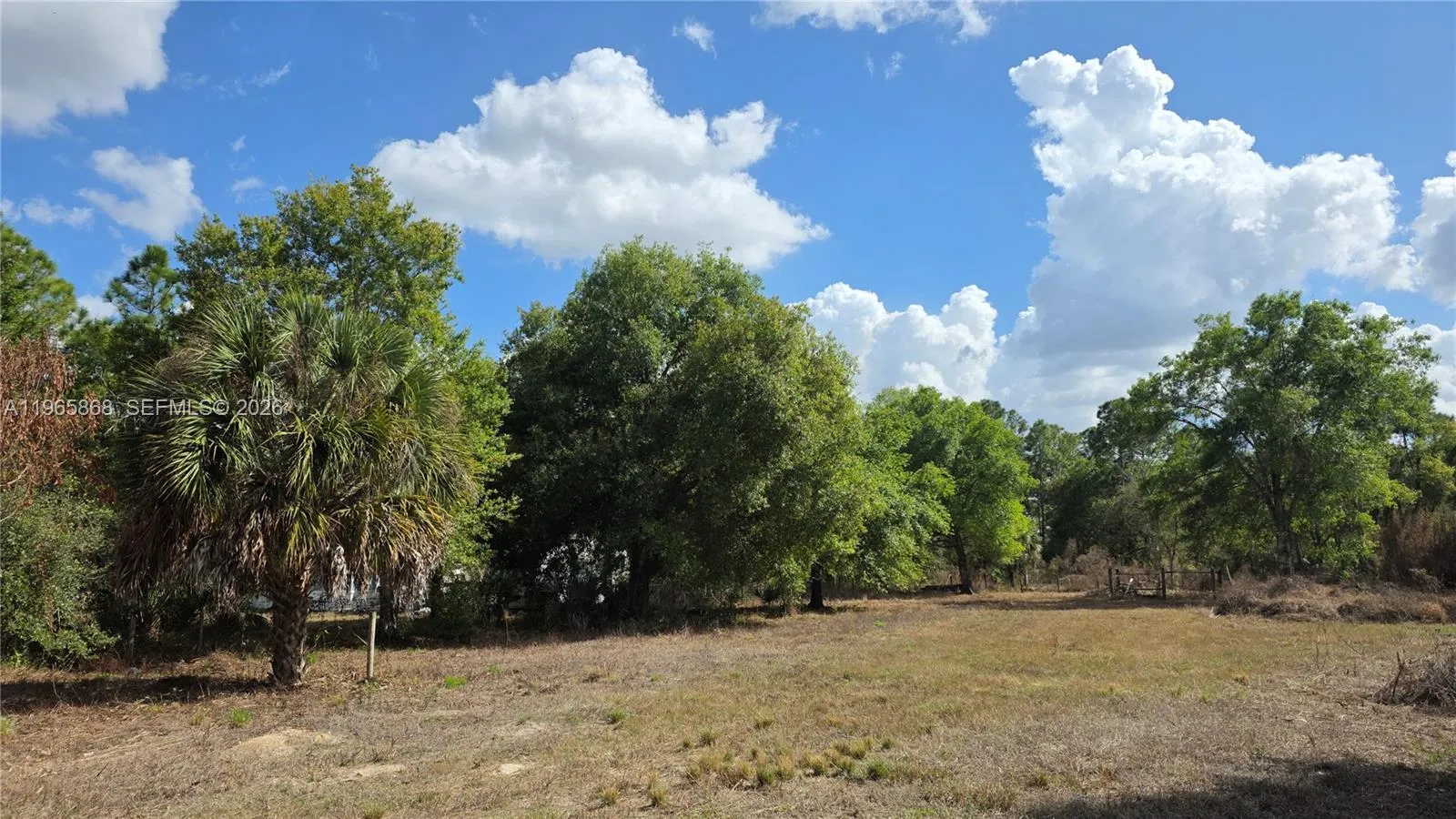 312 Horse Club Ave, Clewiston FL 33440