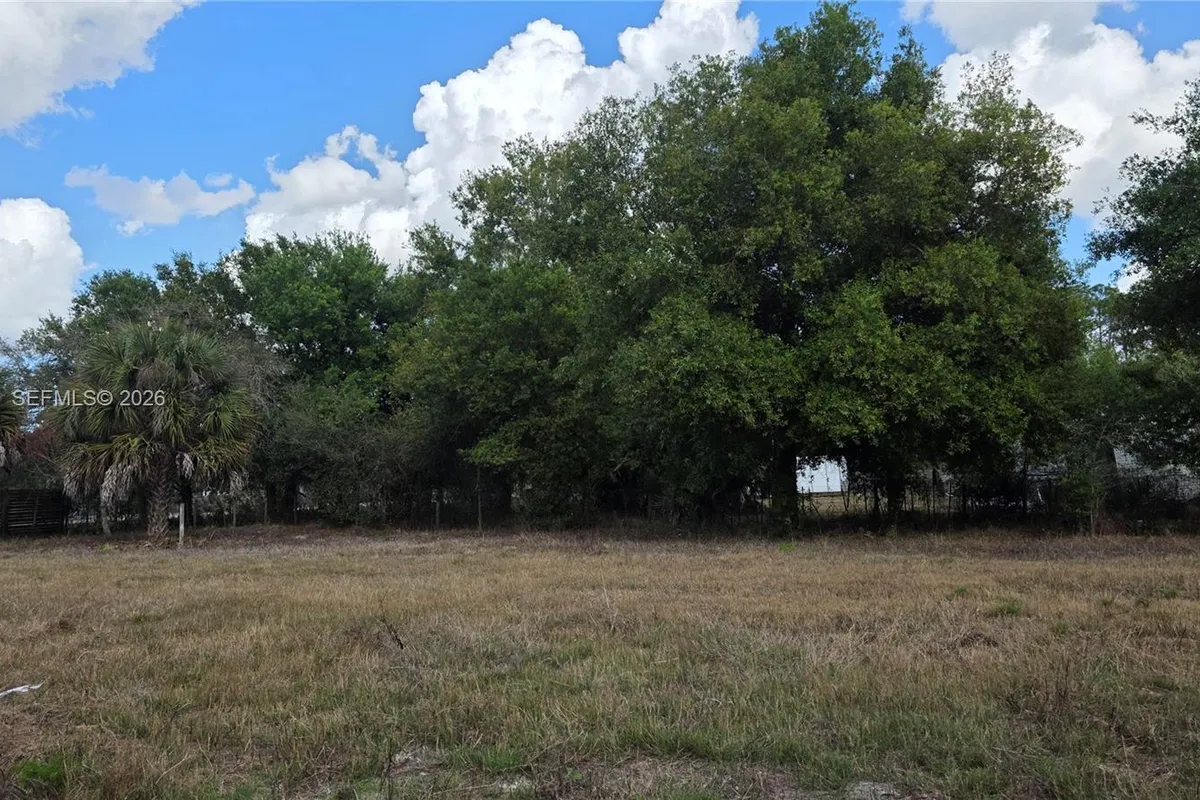 312 Horse Club Ave, Clewiston FL 33440