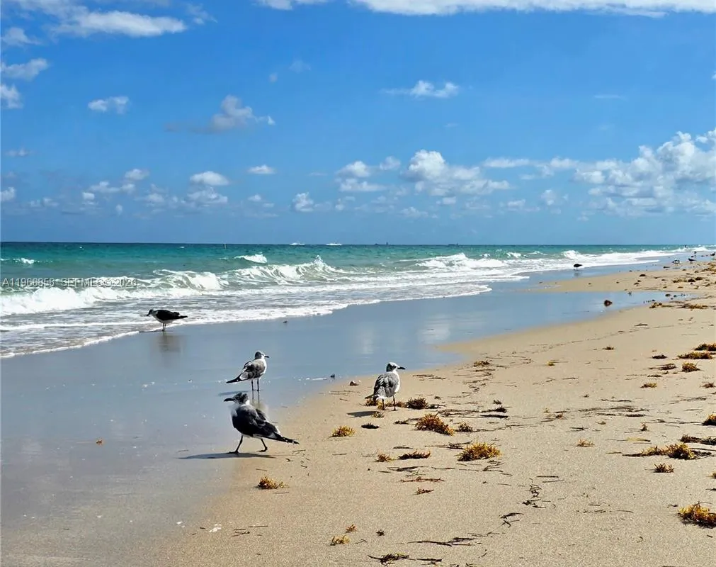 10175 Collins Ave # 208, Bal Harbour FL 33154