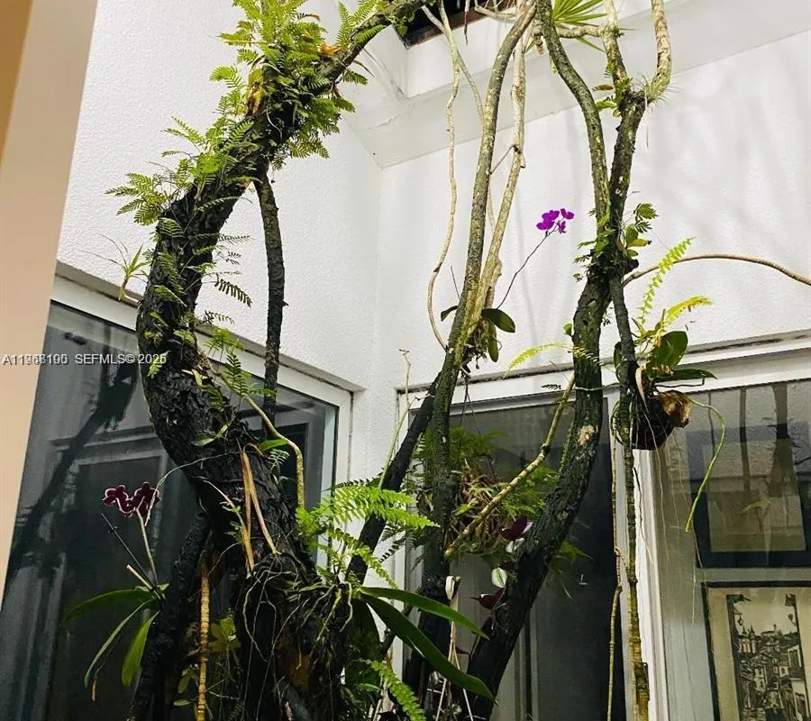 1460 Tagus Ave, Coral Gables FL 33156