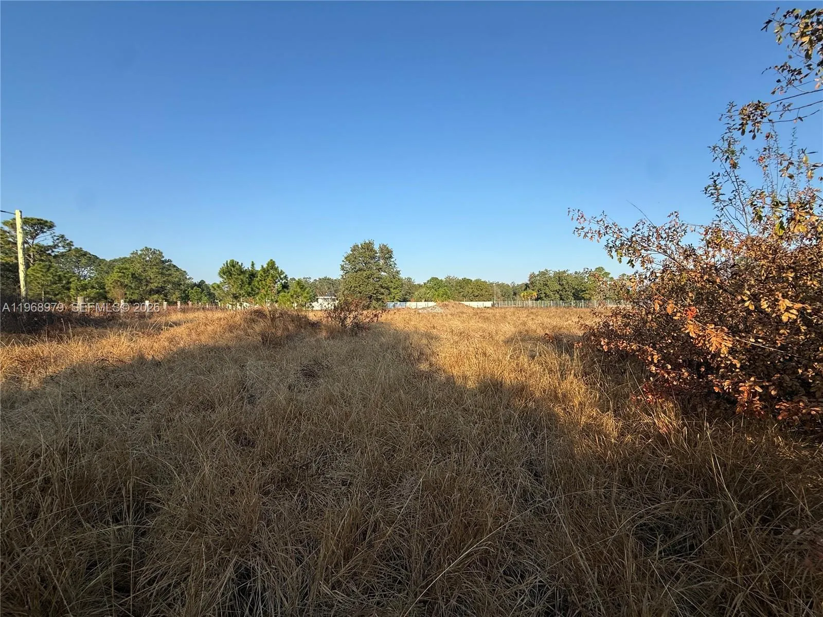 470 N MAYORAL ST, Clewiston FL 33440