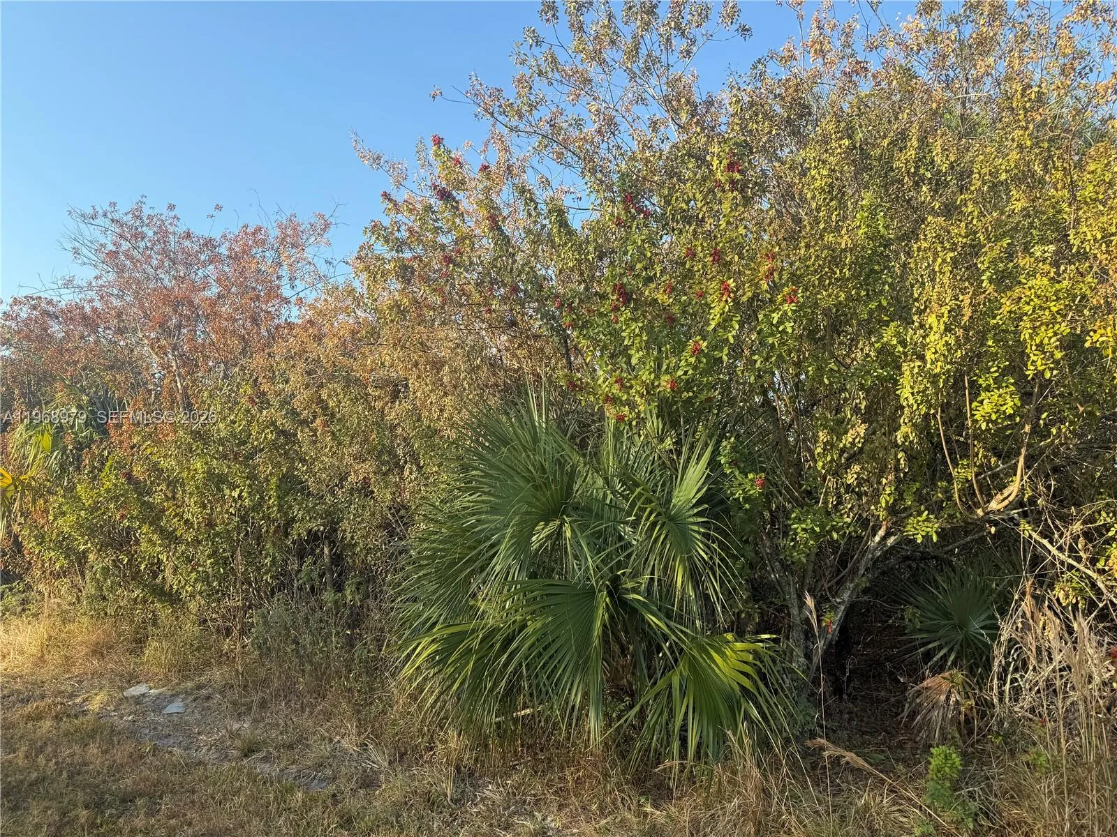 470 N MAYORAL ST, Clewiston FL 33440