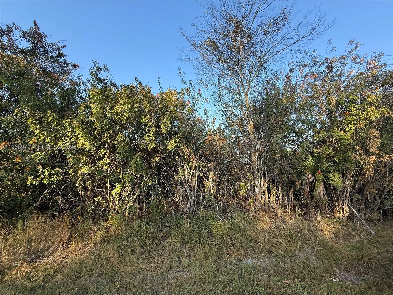 470 N MAYORAL ST, Clewiston FL 33440