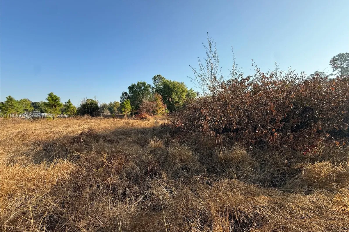 470 N MAYORAL ST, Clewiston FL 33440