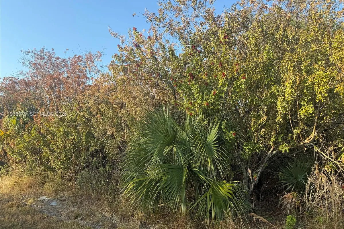 470 N MAYORAL ST, Clewiston FL 33440