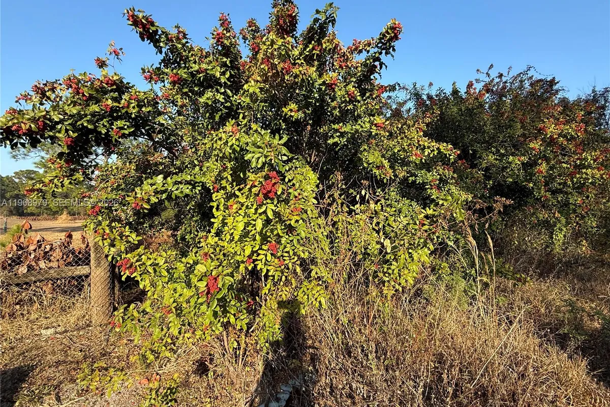 470 N MAYORAL ST, Clewiston FL 33440