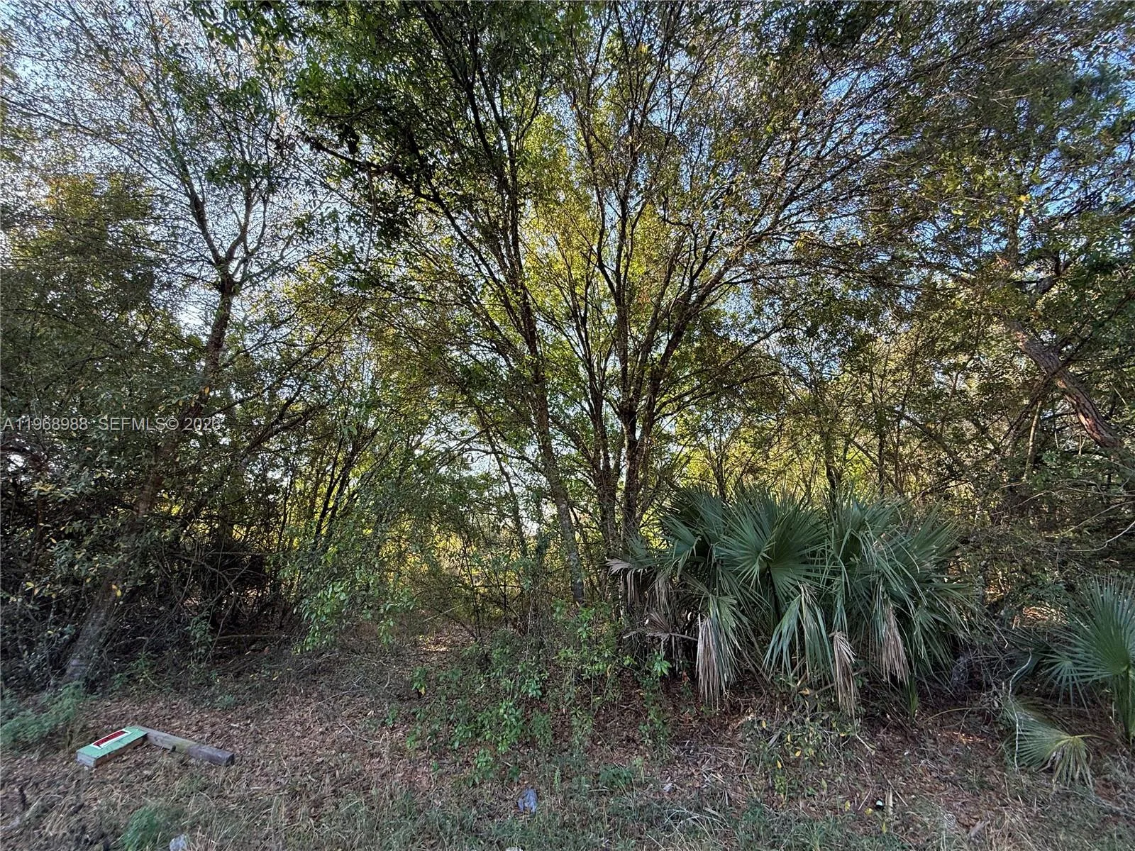 for sale at 858 WOODLAND BLVD, Clewiston FL 33440