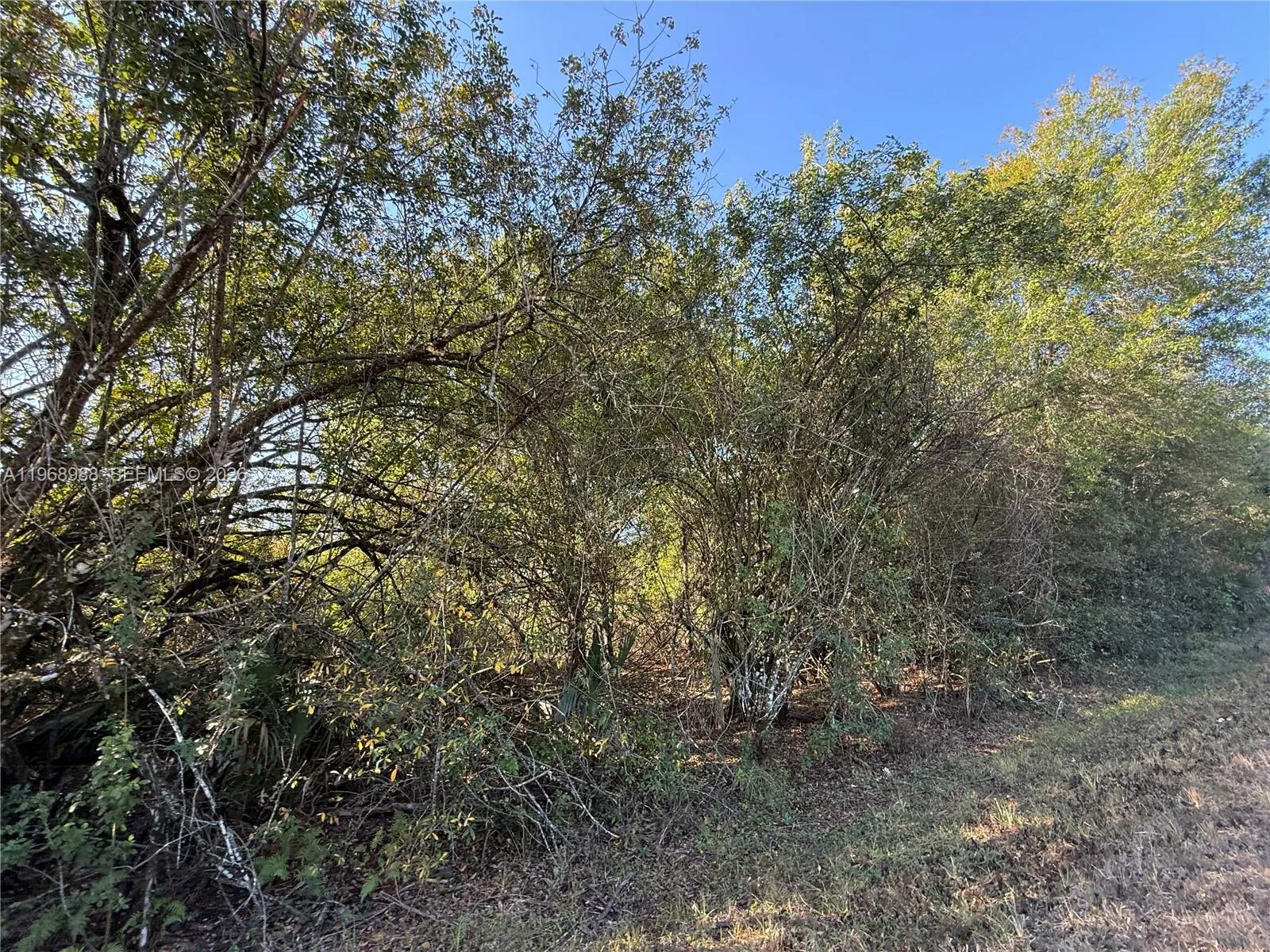 858 WOODLAND BLVD, Clewiston FL 33440