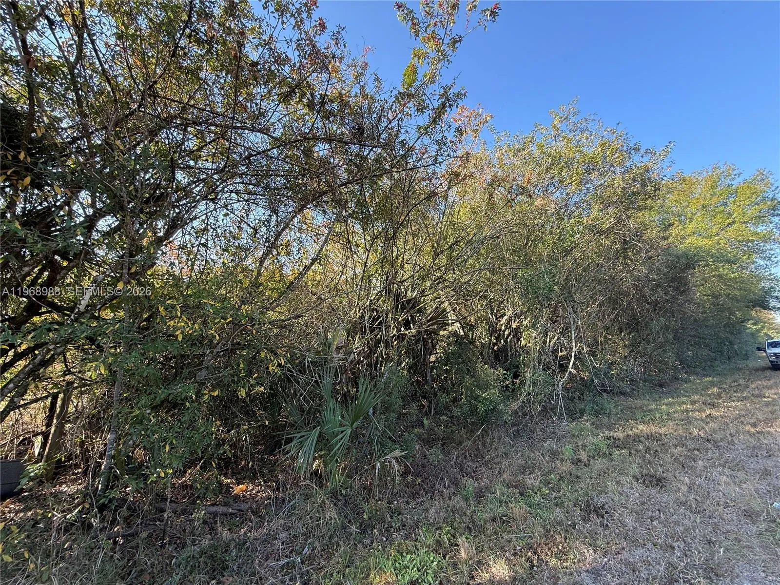 858 WOODLAND BLVD, Clewiston FL 33440