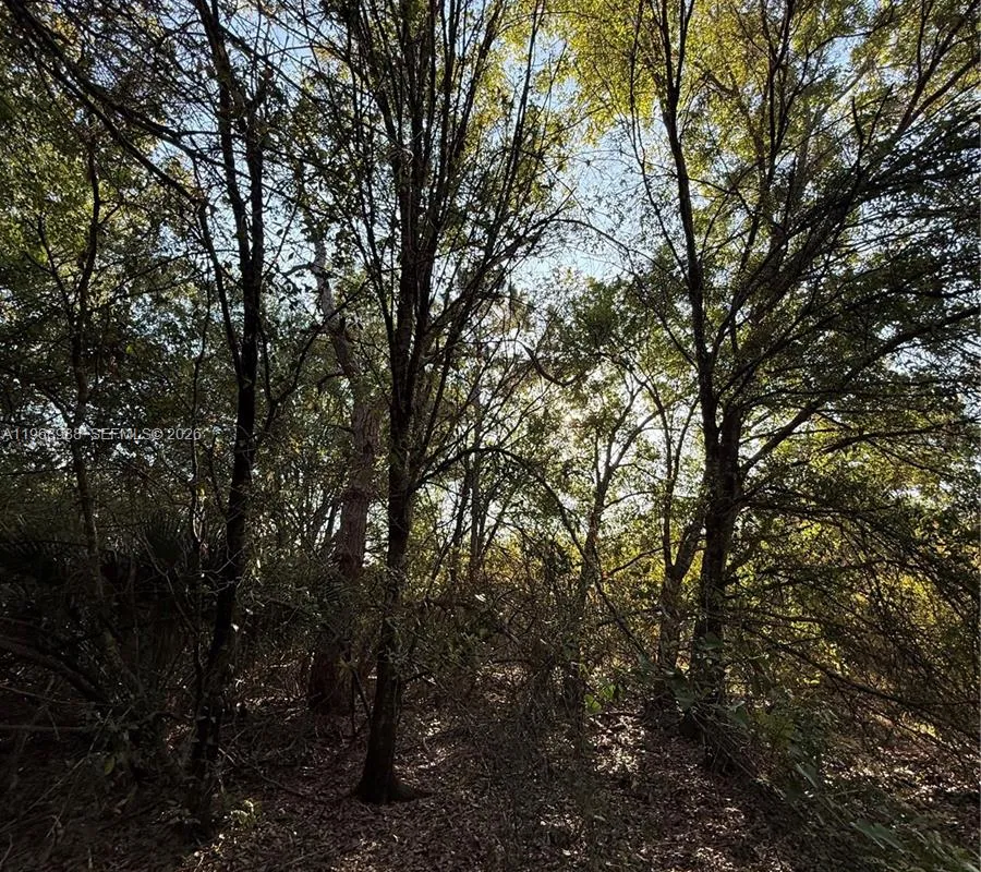 858 WOODLAND BLVD, Clewiston FL 33440