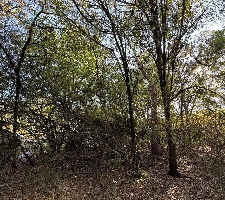 858 WOODLAND BLVD, Clewiston FL 33440